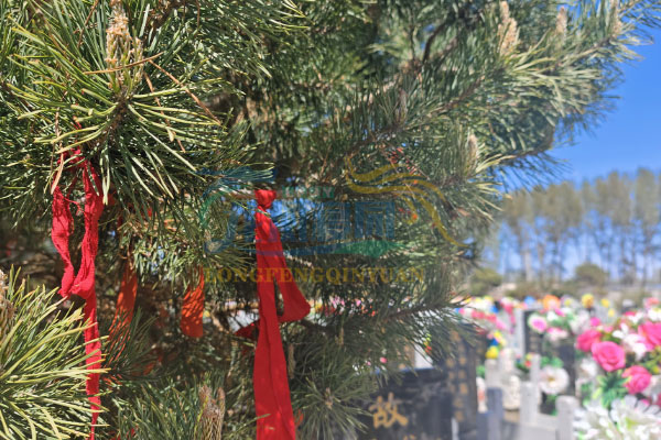 沈阳墓地使用年限知多少？20年使用权全解析