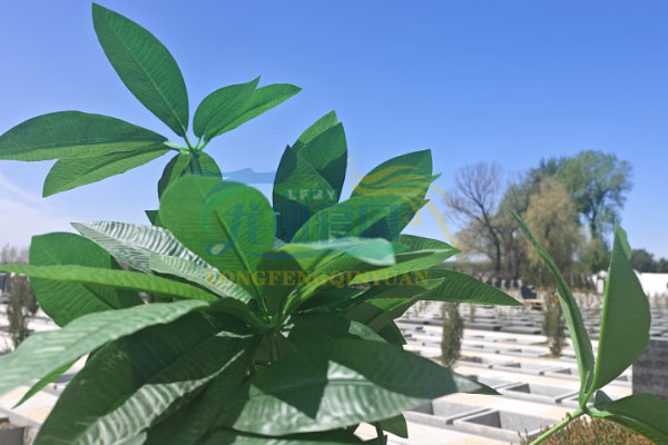 购墓流程全解析：如何高效选择满意沈阳墓地？