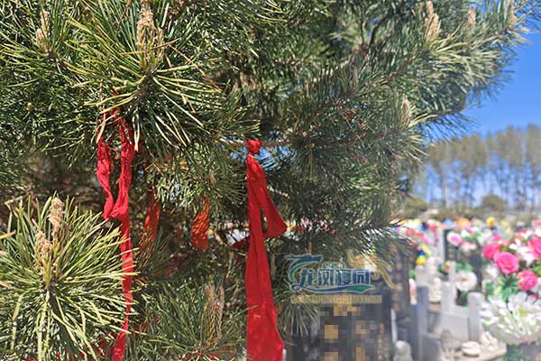 辽中区龙凤寝园，城市边缘的生态乐园，探寻人文精神的永恒家园