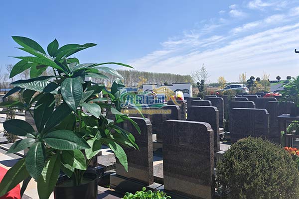  沈阳龙凤寝园公墓安全管理，确保逝者永恒安宁